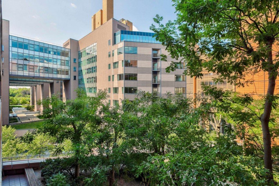 Landscaped view Wohnung Berlin