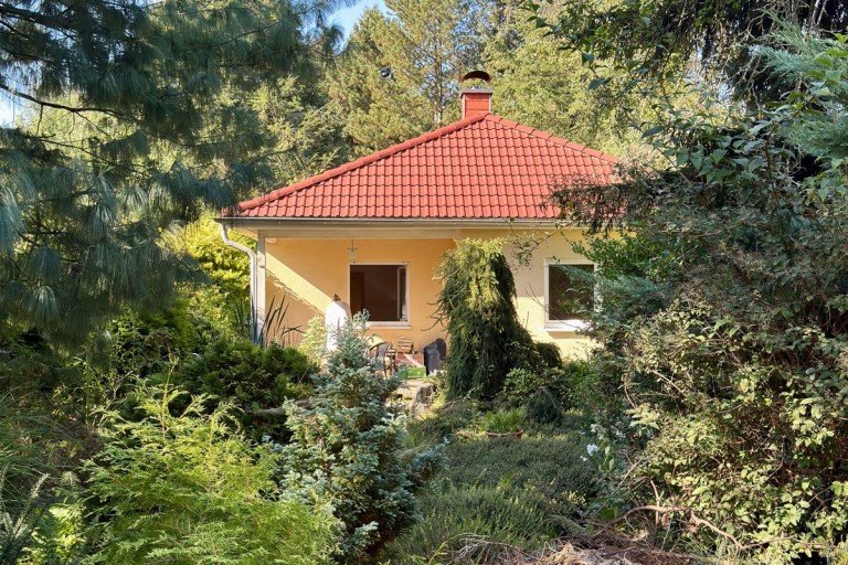 Hausansicht Falkensee Einfamilienhaus Traumgrundst�ck mit modernem Bungalow in Falkensee